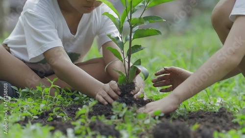Children planting tree outdoors in volunteer activity aimed at instilling a sense of reverence for the natural world and the environment