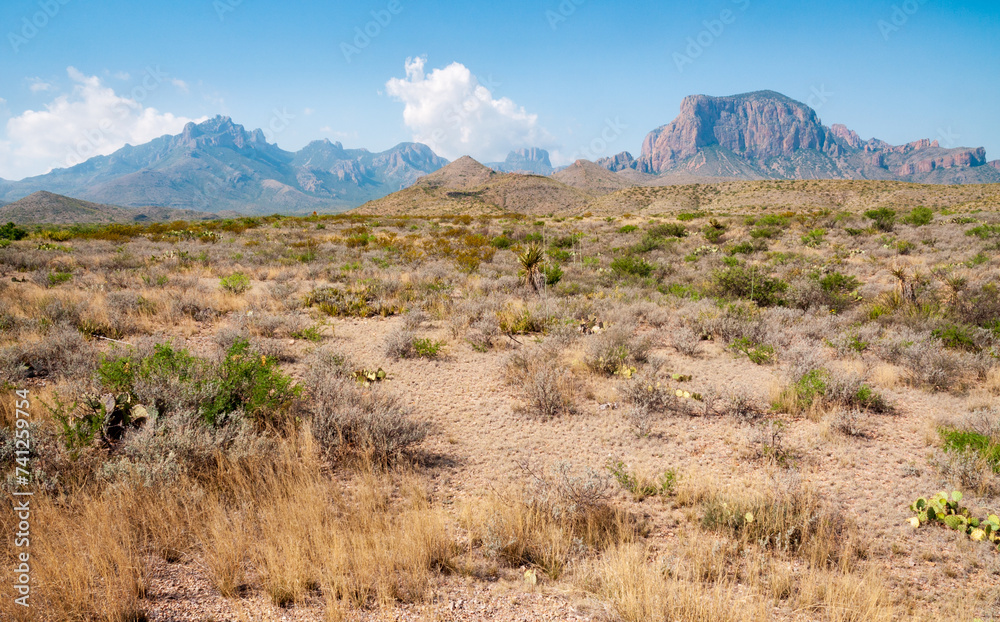 Big Bend National Park, in southwest Texas Big Bend National Park, in southwest Texas