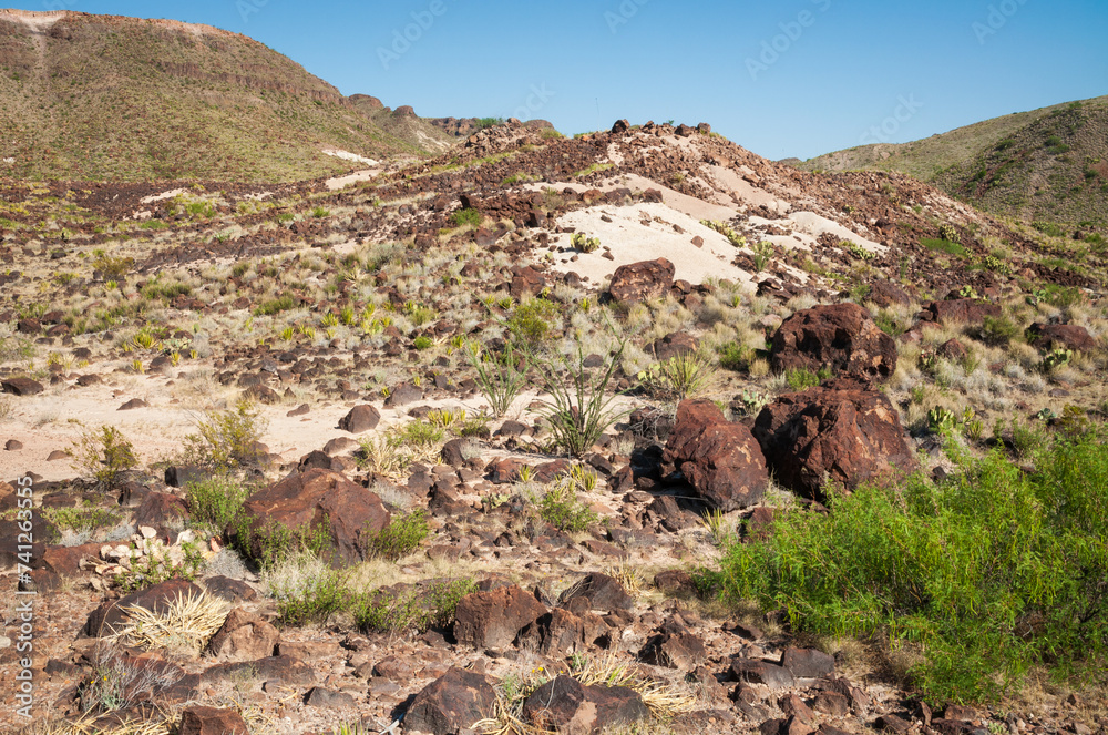 Fototapeta premium Big Bend National Park, in southwest Texas