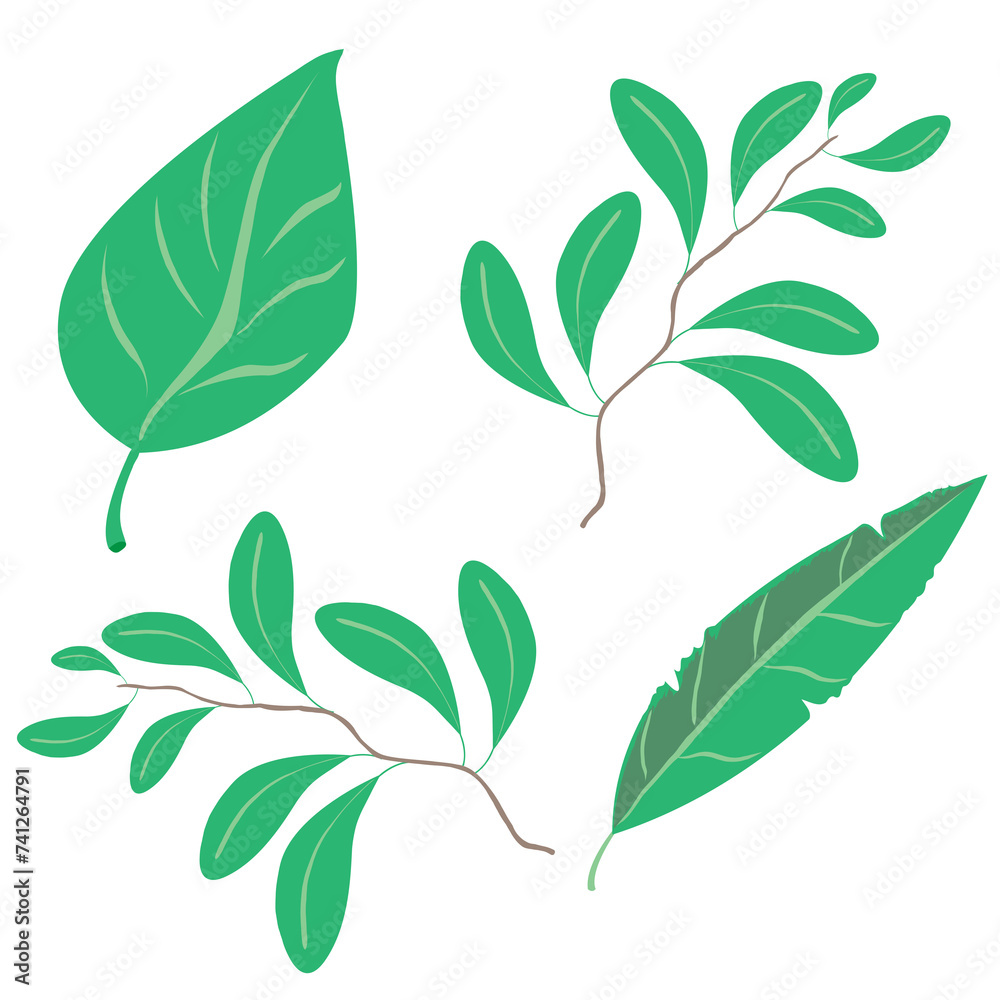 green leaves illustration