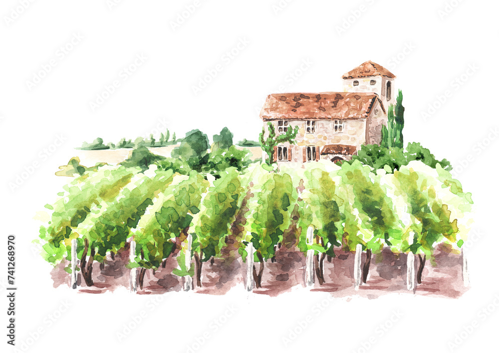 Landscape with vineyard  and Tuscan Chateau. Hand drawn  watercolor illustration  isolated on white background - obrazy, fototapety, plakaty 