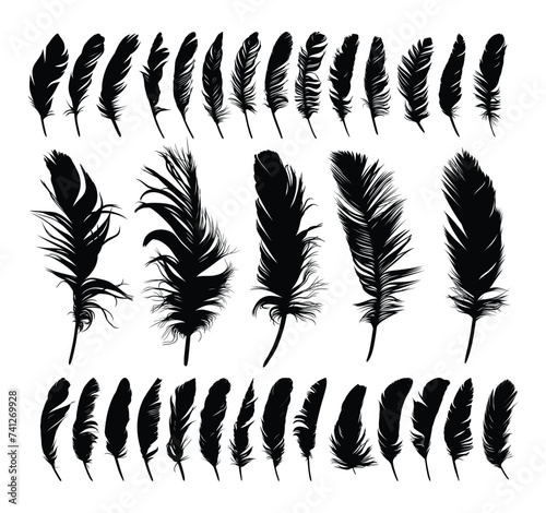 The big set of bird feather silhouettes. 
