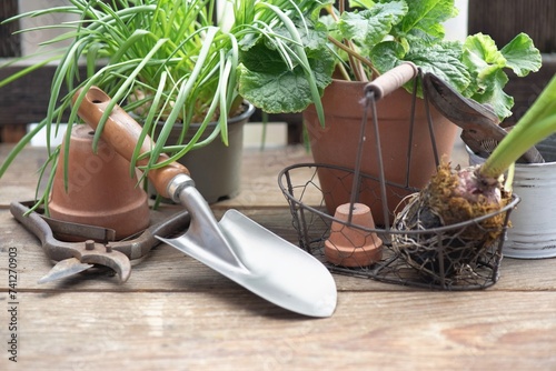 garden tools with a little shovel on a wooden table among  flowerpot and plan...
