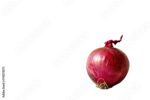 Red Onion On Transparent Background.