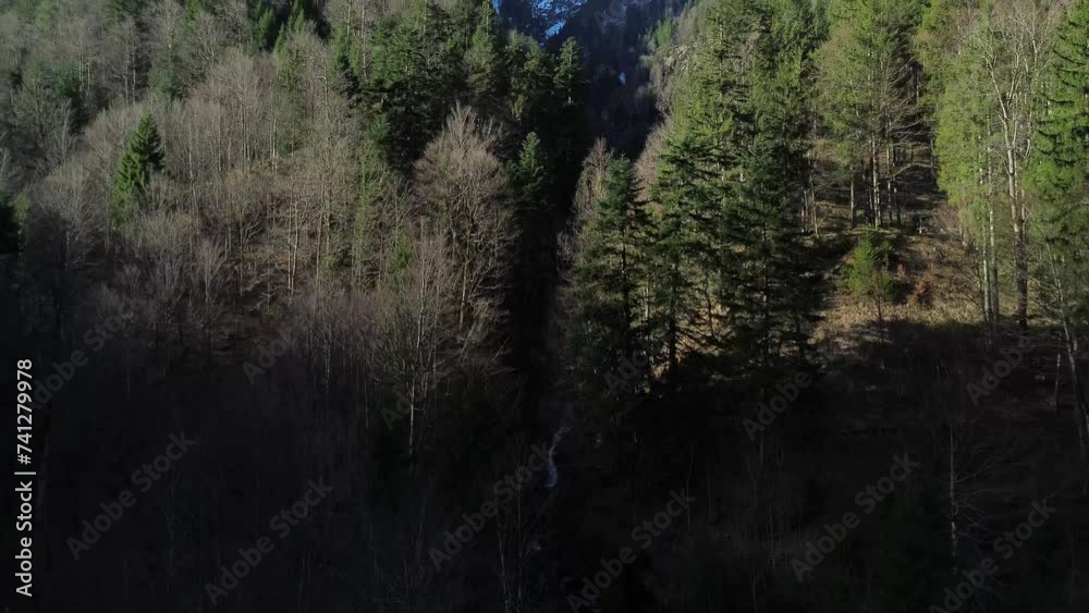 Drone is flying above Forest and Reveals Snowy Mountains in Background in Europe Austria Drone is flying above Forest and Reveals Snowy Mountains in Background in Europe Austria