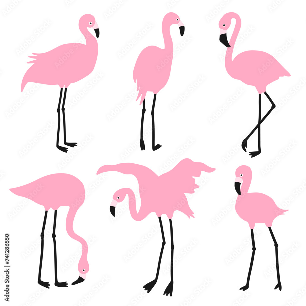 Fototapeta premium Set of pink flamingos. Exotic birds in different poses. Isolated on a white background.
