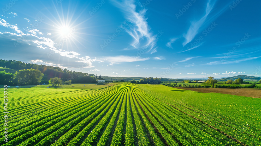 Rural vistas of open fields, blue skies and sunny weather. Rural vistas of open fields, blue skies and sunny weather.