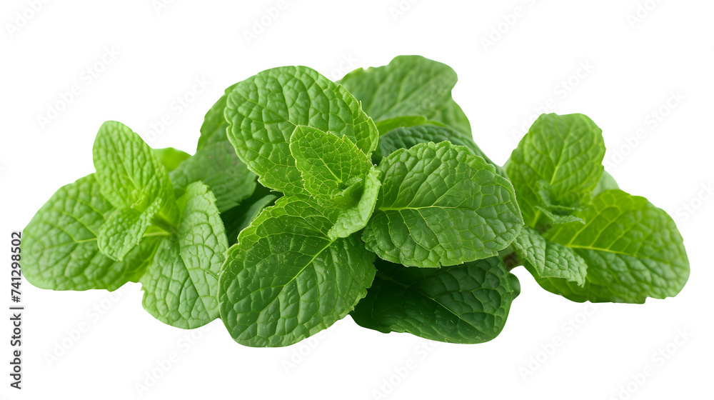 Mint Leaves Placed on Transparent Background, Hand Edited Generative AI Mint Leaves Placed on Transparent Background, Hand Edited Generative AI