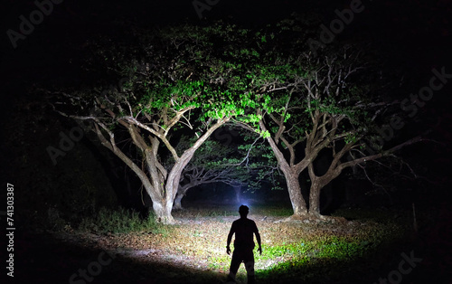 A man with a super bright headlamp shining to beautiful trees