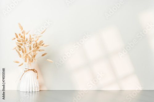 Ceramic vase with dried plant with shadows on the wall