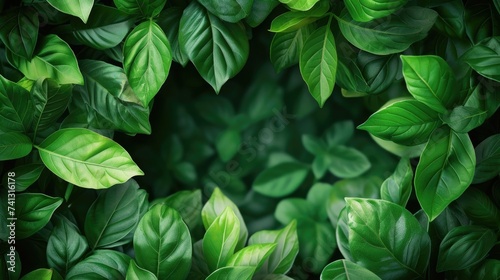 green leaves with space mockup