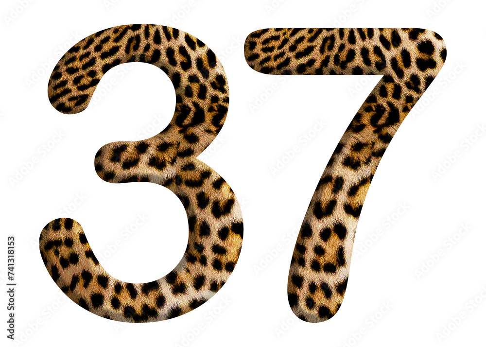 The shape of the number 37 is made of leopard fur or skin isolated on transparent background. Suitable for birthday, anniversary and Memorial Day templates The shape of the number 37 is made of leopard fur or skin isolated on transparent background. Suitable for birthday, anniversary and Memorial Day templates