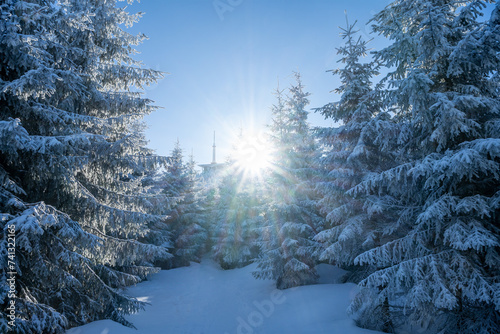 Snowy winter landscape with peak of Lysa mountain with transmitter, foot path and sun with sun rays. Beskydy, Czech Republic photo