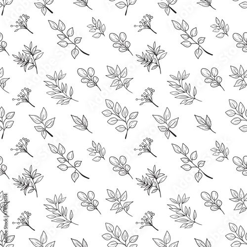 Seamless pattern with realistic abstract branch with leaves as eucaliptus, berries, rosewood. Hand drawn vector sketch doodle illustration in vintage engraved line art style. Repeatable background. photo