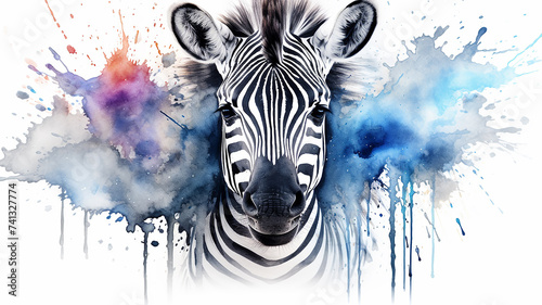 zebra  watercolor illustration on a white background  liquid paint spots  print for design