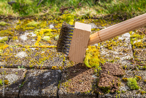 Removing and scratching moss out of paving stones, cleaning terrace and patio