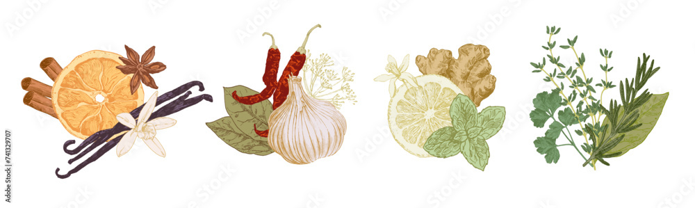 Herbs and spices arranged in groups. Hand drawn illustrations, frame  templates