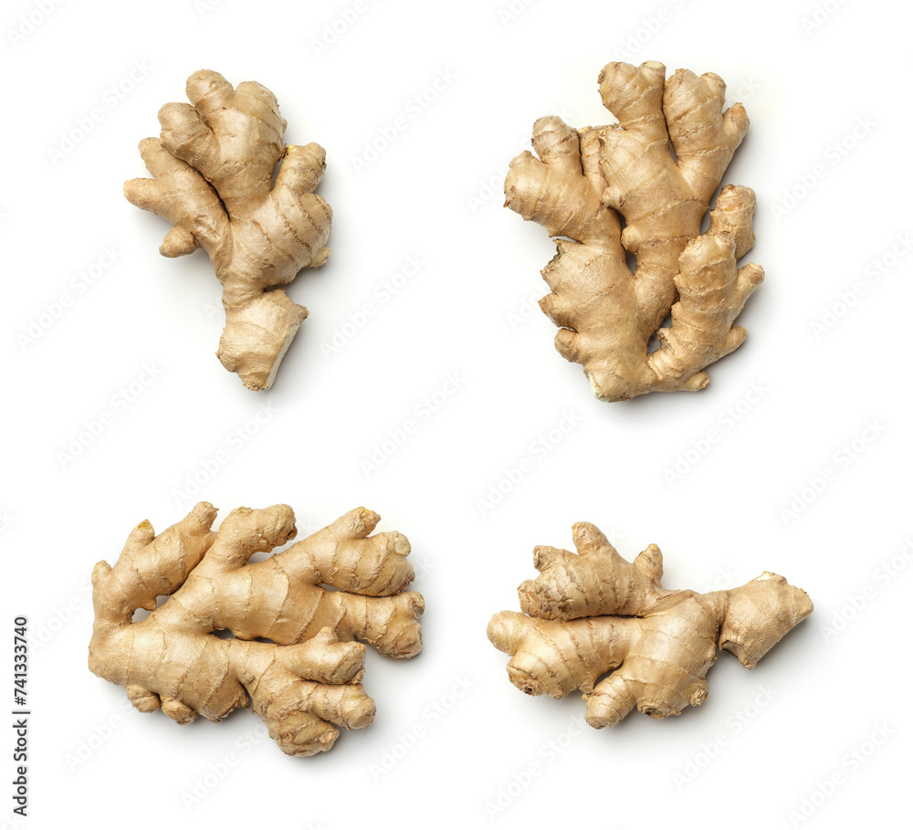 Ginger root collection isolated on white Ginger root collection isolated on white