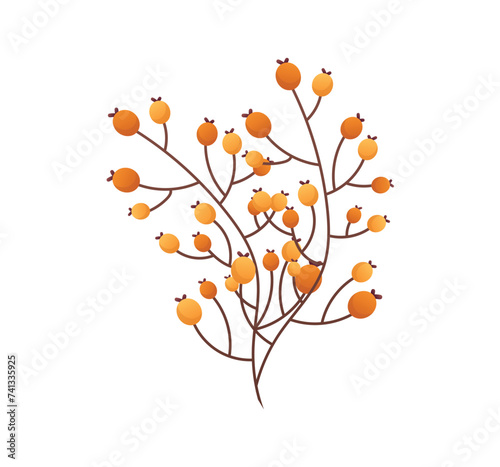 Autumn attribute of colorful set. This artwork showcases a dog-rose in vivid orange hues that evokes the seasonal charm of autumn against a pristine white background. Vector illustration.