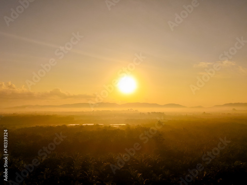 Sunshine aerial view. Top view  sunrise light in the morning With the trees in the forest. Palm plantations  agricultural crops and the oil industry. High view  sunlight  relaxing feeling  new day