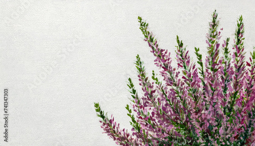 Oil painting of a heather flower pure white background canvas, copyspace on a side