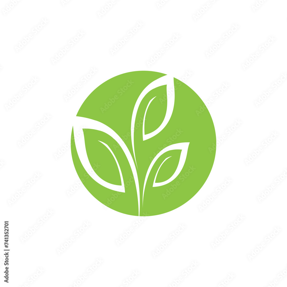 Green leaf illustration nature logo flat design template Green leaf illustration nature logo flat design template