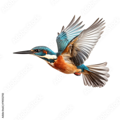 Flying king fisher on transparent background © posterpalette