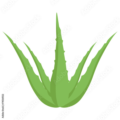 Aloe vera plant flat vector icon 