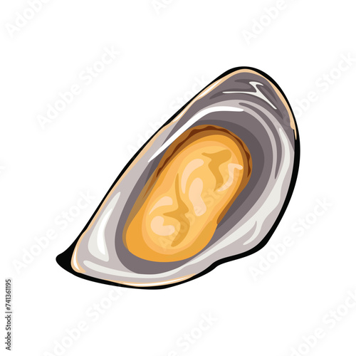 Mussel isolated on a white background. Vector cartoon illustration of fresh seafood.