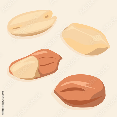 Peanut kernels in shell and peeled. Vector nuts icons.