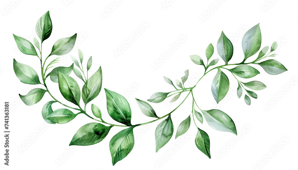 Watercolor leaves and flower frame isolated Watercolor leaves and flower frame isolated