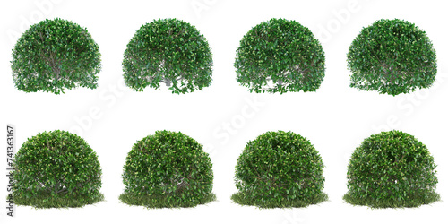Realistic cloudy light green bush transparent background. 3d rendering png.