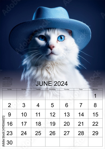 calendar 2024 cat funny 