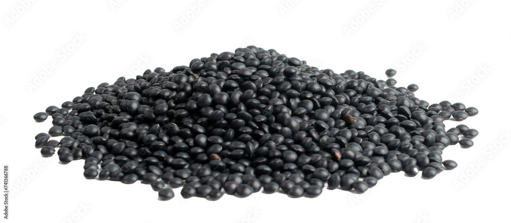 Raw Dry Lentils, Lentil Grains, Dal, Daal, Dhal, Masoor Raw Dry Lentils, Lentil Grains, Dal, Daal, Dhal, Masoor