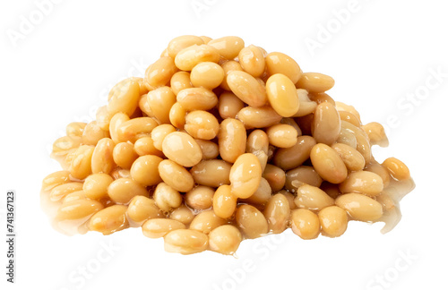White Kidney Beans Isolated