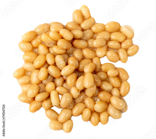 White Kidney Beans Isolated