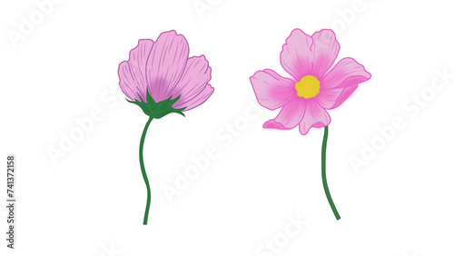 Purple and Lilac Vector Flowers