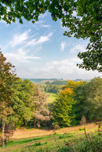 Autumn season in Winkworth Arboretum National Trust, Godalming, Surrey , England