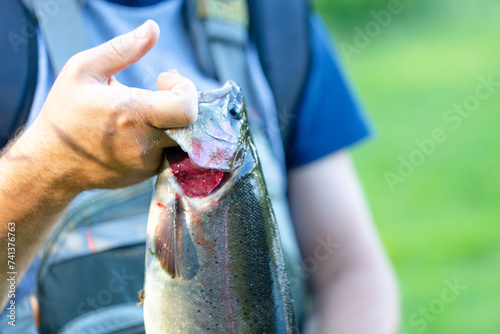 a freshly caught rainbow trout presented by an trout angler, fisherman holding the fish by the gills photo