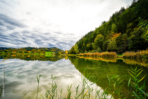 Poplar forest lake near Berghaupten in the Black Forest. Idyllic autumn landscape by the lake. Pappelwaldsee.
 photo