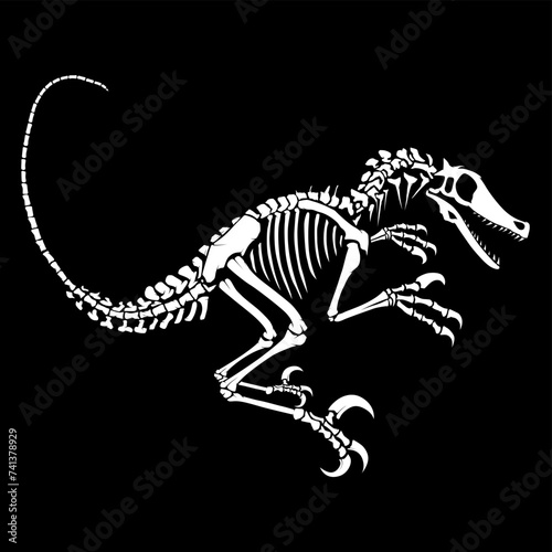 Vector illustration of dinosaur bones full body isolated on blank background