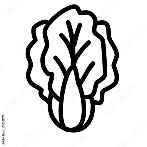 Cabbage bok choy vegetable icon photo
