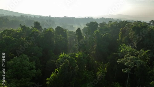 Aerial view of misty tropical rainforest in Molucca, Halmahera, Indonesia. photo