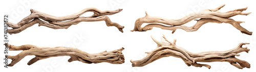 Set of driftwoods  cut out