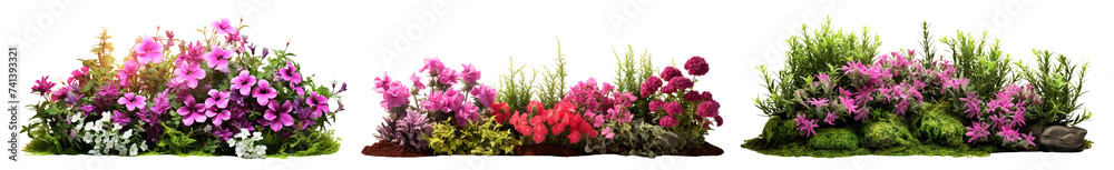 Obraz premium Set of garden flowers, cut out