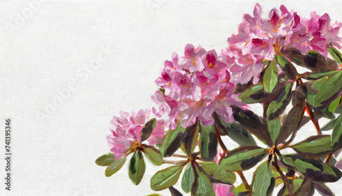 Oil painting of a rhododendron pure white background canvas, copyspace on a side 