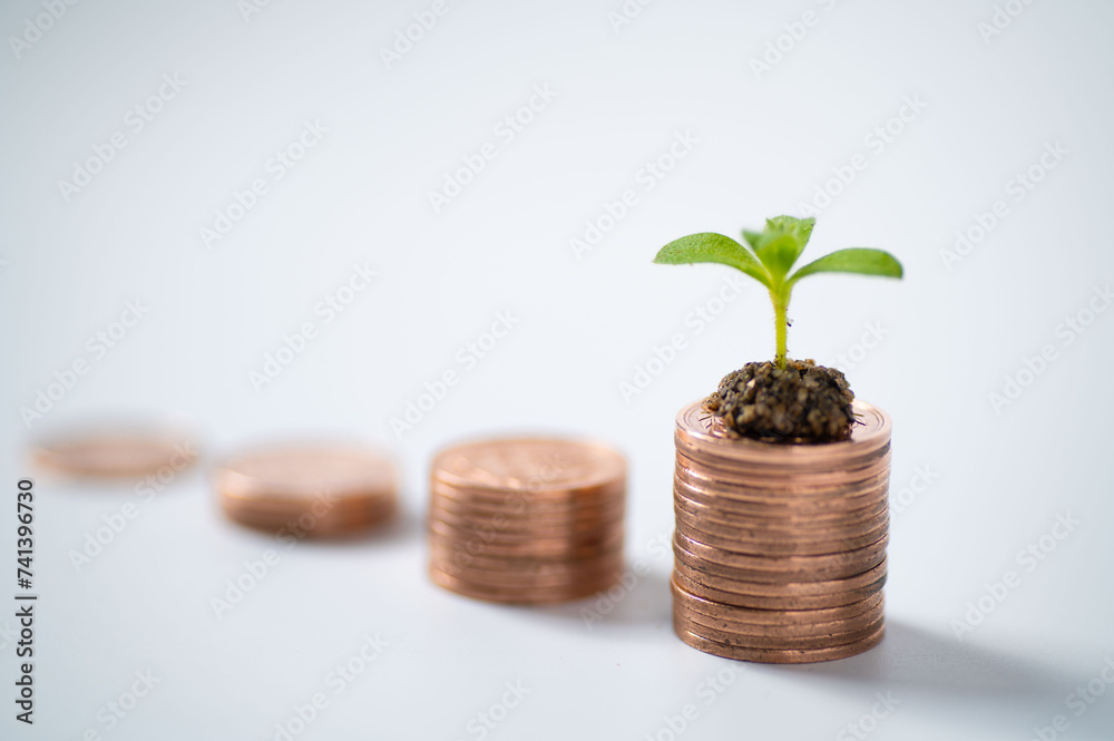 お金 お金