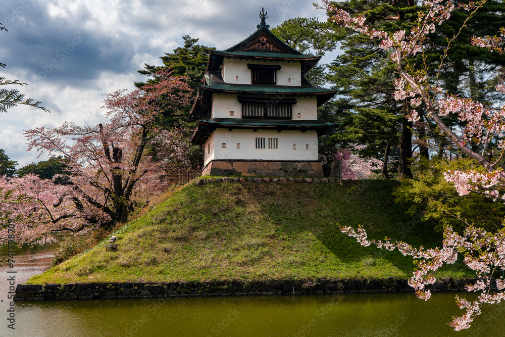 Naklejka premium Colorful Cherry Blossom (Sakura) and an old castle keep (Hirosaki Park, Aomori, Japan)