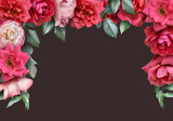 Floral banner, header with copy space. Red roses isolated on dark background. Natural flowers wallpaper or greeting card.