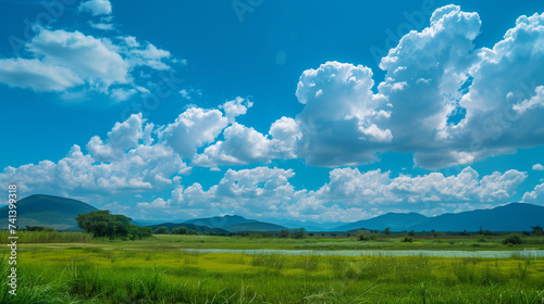 Mountain field with green grass and fluffy clouds in the blue sky
